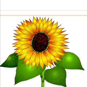 🌻BUY “1” GET”2” SALE🌻All w/ sunflower in listing!!! NO SHIP DIS ON BUY 1 GET 2